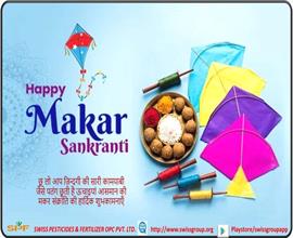 HAPPY MAKAR SANKRANTI