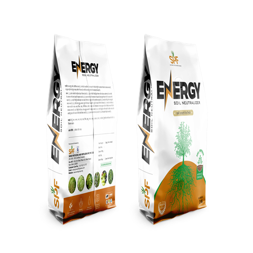 ENERGY 10 x 2 KG (POUCH)