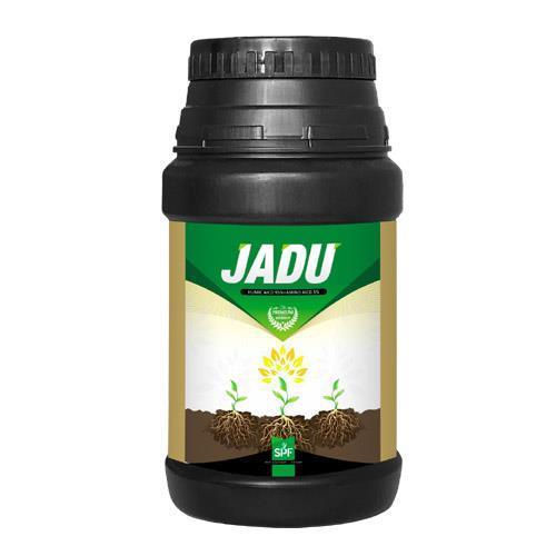 JADU GOLD 20 X 500 GM